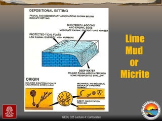 Lime Mud  or  Micrite 