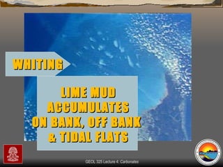 WHITING LIME MUD ACCUMULATES ON BANK, OFF BANK  & TIDAL FLATS 