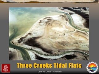Three Creeks Tidal Flats 