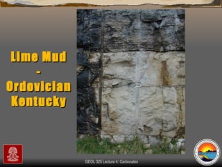 Lime Mud - Ordovician Kentucky 