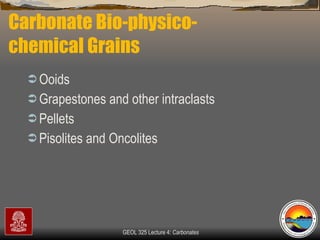 Carbonate Bio-physico-chemical Grains Ooids Grapestones and other intraclasts Pellets Pisolites and Oncolites 