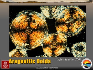 After Scholle, 2003 Aragonitic Ooids 