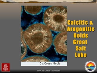 Calcitic &  Aragonitic Ooids Great  Salt Lake 
