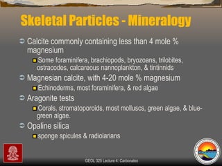 Skeletal Particles - Mineralogy Calcite commonly containing less than 4 mole % magnesium  Some foraminifera, brachiopods, bryozoans, trilobites, ostracodes, calcareous nannoplankton, & tintinnids  Magnesian calcite, with 4-20 mole % magnesium Echinoderms, most foraminifera, & red algae Aragonite tests Corals, stromatoporoids, most molluscs, green algae, & blue-green algae. Opaline silica  sponge spicules & radiolarians 