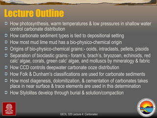 Lecture Outline How photosynthesis, warm temperatures & low pressures in shallow water control carbonate distribution  How carbonate sediment types is tied to depositional setting How most mud lime mud has a bio-physico-chemical origin Origins of bio-physico-chemical grains:- ooids, intraclasts, pellets, pisoids Separation of bioclastic grains:- foram’s, brach’s, bryozoan, echinoids, red calc’ algae, corals, green calc’ algae, and molluscs by mineralogy & fabric How CCD controls deepwater carbonate ooze distribution How Folk & Dunham’s classifications are used for carbonate sediments How most diagenesis, dolomitization, & cementation of carbonates takes place in near surface & trace elements are used in this determination  How Stylolites develop through burial & solution/compaction 