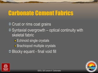 Carbonate Cement Fabrics  Crust or rims coat grains  Syntaxial overgrowth – optical continuity with skeletal fabric Echinoid single crystals Brachiopod multiple crystals Blocky equant - final void fill 