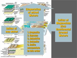 Influx of  Magnesium Rich  Continental Ground  Waters Influx of  sea water Evaporation  of mixed  Waters 1. Aragonite 2. Gypsum 3. Anhydrite 4. Dolomite 5. Halite accumulate in this order 