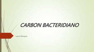 CARBON BACTERIDIANO
Laura Marquez
 