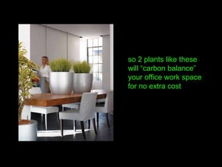 so 2 plants like these
will “carbon balance”
your office work space
for no extra cost
 