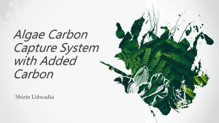 Algae Carbon
Capture System
with Added
Carbon
Shirin Udwadia
 