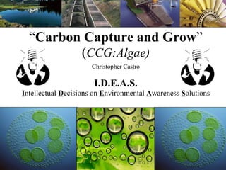 “ Carbon Capture and Grow ” ( CCG:Algae) Christopher Castro I.D.E.A.S. I ntellectual  D ecisions on  E nvironmental  A wareness  S olutions 