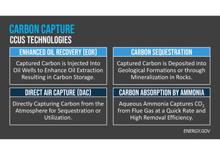 Carbon Capture and Storage (CCS) | PDF