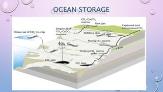 OCEAN STORAGE
 