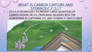 WHAT IS CARBON CAPTURE AND
STORAGE(C.C.S.) ?
• CCS IS A TECHNOLOGY TO PREVENT LARGE QUANTITIES OF
CARBON DIOXIDE OR CO2 FROM BEING RELEASED INTO THE
ATMOSPHERE BY CAPTURING CO2 AND STORING IT THAT IT DOES
NOT ENTER THE ATMOSPHERE.
 