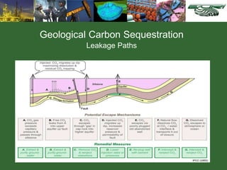 Geological Carbon Sequestration
Leakage Paths
 