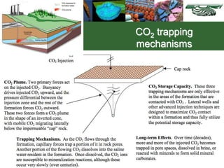 CO2 trapping
mechanisms
 