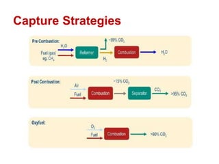 Capture Strategies
 
