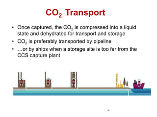 CO2 Transport
• Once captured, the CO2 is compressed into a liquid
state and dehydrated for transport and storage
• CO2 is preferably transported by pipeline
• …or by ships when a storage site is too far from the
CCS capture plant
18
 