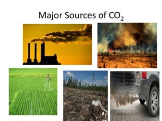 Major Sources of CO2
 