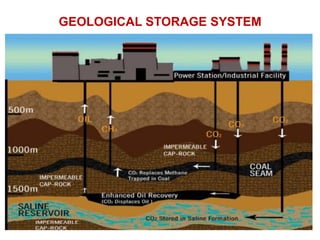 GEOLOGICAL STORAGE SYSTEM
 