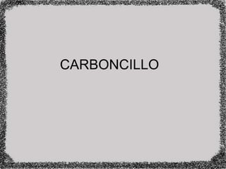CARBONCILLO
 