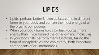 LIPIDS
• Lipids, perhaps better known as fats, come in different
forms in your body and contain the most energy of all
the organic compounds.
• When your body burns lipids for fuel, you get more
energy than if you burned the other organic molecules.
• In your body, fats perform many functions, taking the
form of phospholipids and cholesterol, both important
components of cell membranes.
 