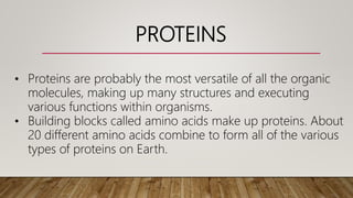 PROTEINS
• Proteins are probably the most versatile of all the organic
molecules, making up many structures and executing
various functions within organisms.
• Building blocks called amino acids make up proteins. About
20 different amino acids combine to form all of the various
types of proteins on Earth.
 