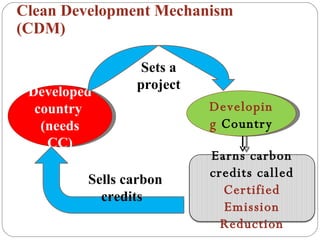 Carbon credits | PPT