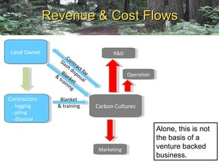 Carbon cultures final presentations