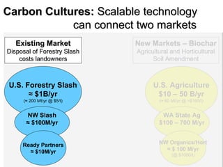 Carbon cultures final presentations