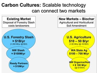 Carbon cultures final presentations