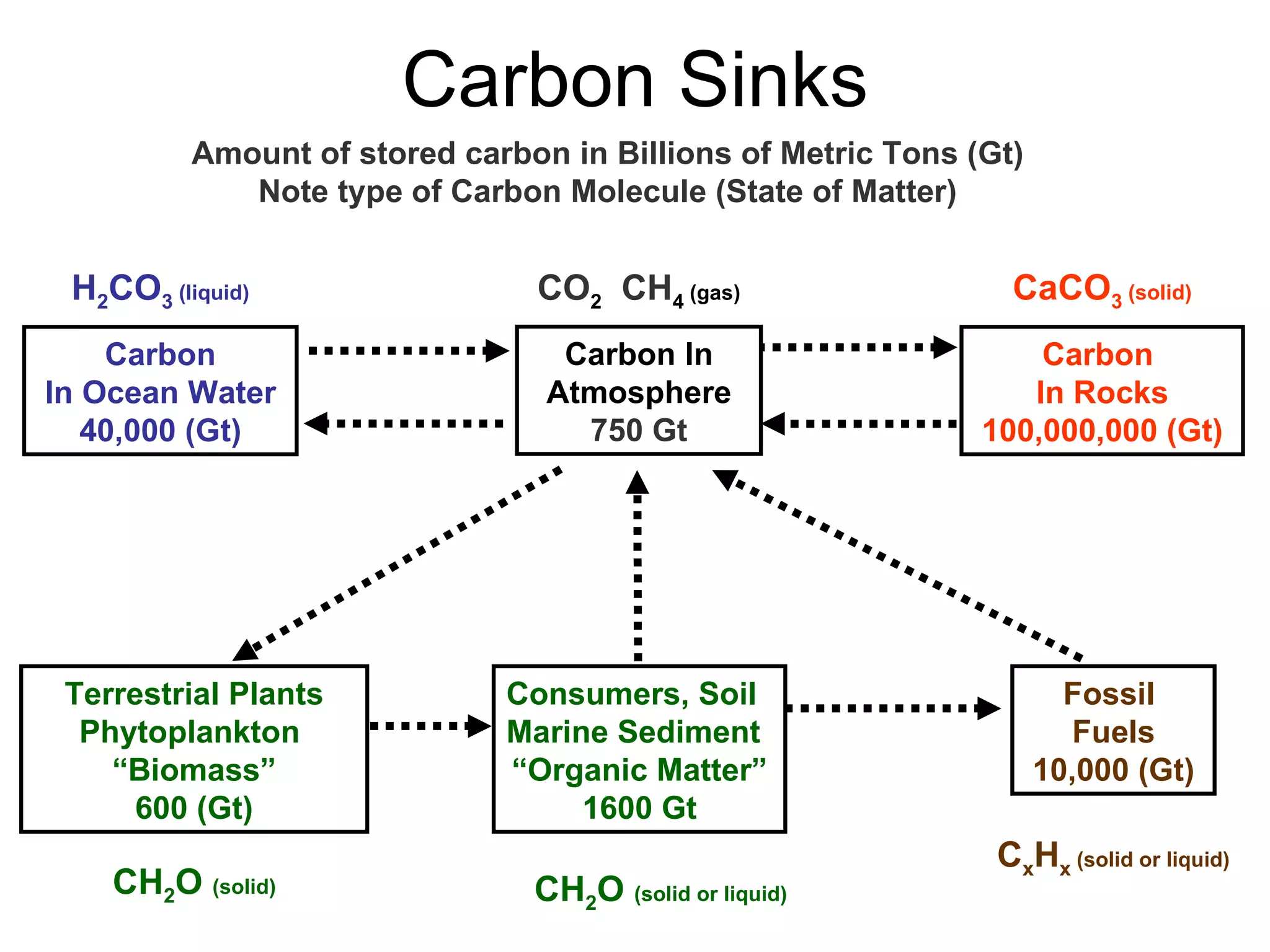 Carbon Sinks Amount of stored carbon in Billions of Metric Tons (Gt) Note type of Carbon Molecule (State of Matter) CH 2 O  (solid or liquid) Terrestrial Plants Phytoplankton  “ Biomass” 600 (Gt) Fossil  Fuels 10,000 (Gt) Carbon In Atmosphere 750 Gt Carbon  In Rocks 100,000,000 (Gt) Carbon In Ocean Water 40,000 (Gt) Consumers, Soil  Marine Sediment “ Organic Matter” 1600 Gt H 2 CO 3  (liquid) CO 2   CH 4  (gas) CaCO 3  (solid) CH 2 O  (solid) C x H x  (solid or liquid) 