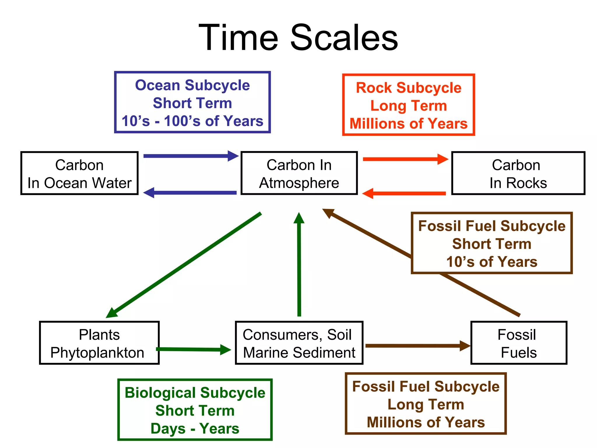 Time Scales Plants Phytoplankton  Fossil  Fuels Carbon In Atmosphere Carbon  In Rocks Carbon In Ocean Water Consumers, Soil  Marine Sediment Biological Subcycle Short Term Days - Years Ocean Subcycle Short Term 10’s - 100’s of Years Fossil Fuel Subcycle Long Term Millions of Years Fossil Fuel Subcycle Short Term 10’s of Years Rock Subcycle Long Term Millions of Years 