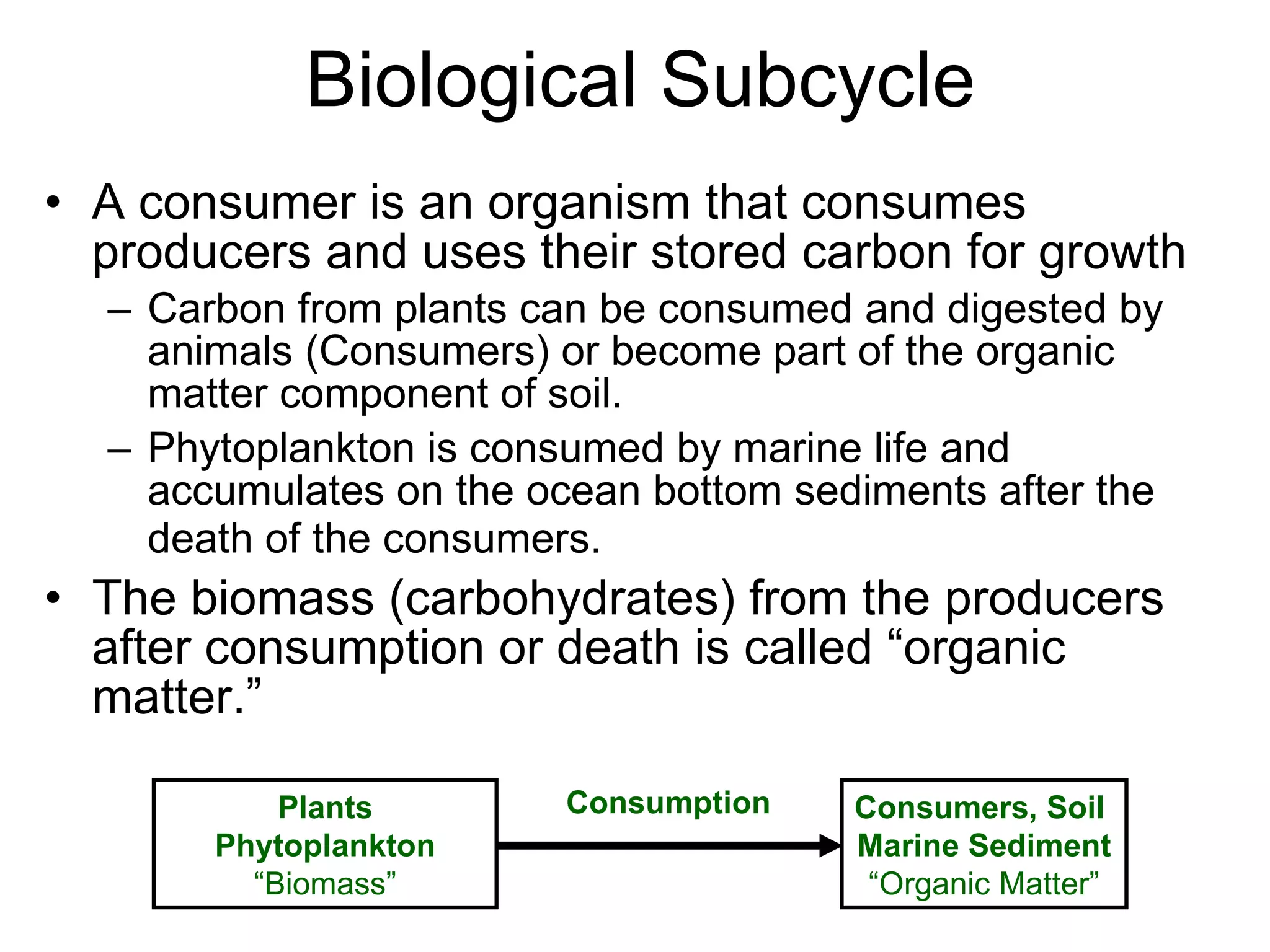 Biological Subcycle A consumer is an organism that consumes producers and uses their stored carbon for growth  Carbon from plants can be consumed and digested by animals (Consumers) or become part of the organic matter component of soil. Phytoplankton is consumed by marine life and accumulates on the ocean bottom sediments after the death of the consumers.   The biomass (carbohydrates) from the producers after consumption or death is called “organic matter.” Plants Phytoplankton “ Biomass” Consumers, Soil  Marine Sediment “ Organic Matter” Consumption 