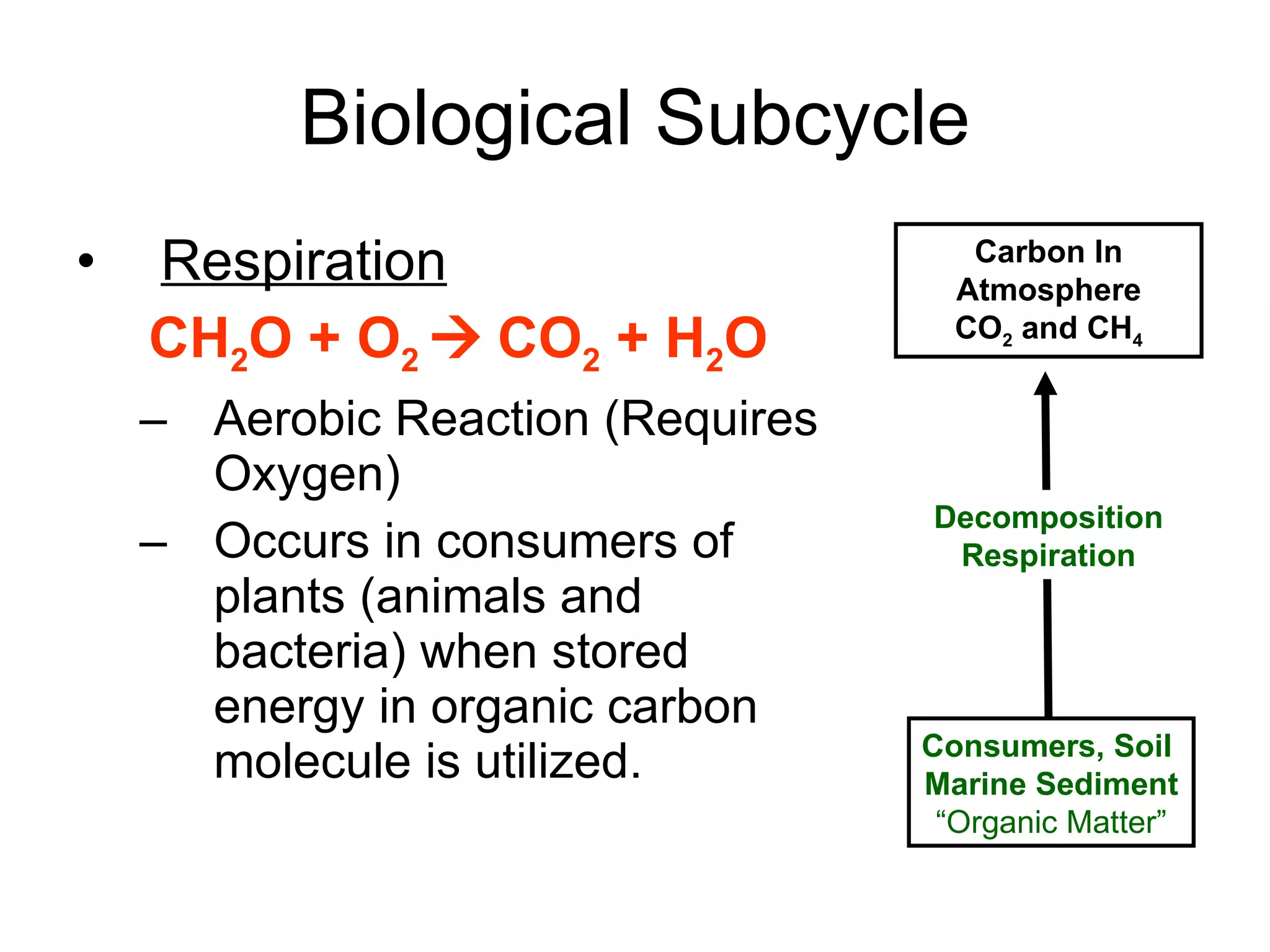 Biological Subcycle Respiration CH 2 O + O 2     CO 2  + H 2 O Aerobic Reaction (Requires Oxygen) Occurs in consumers of plants (animals and bacteria) when stored energy in organic carbon molecule is utilized. Decomposition Respiration Carbon In Atmosphere CO 2  and CH 4 Consumers, Soil  Marine Sediment “ Organic Matter” 