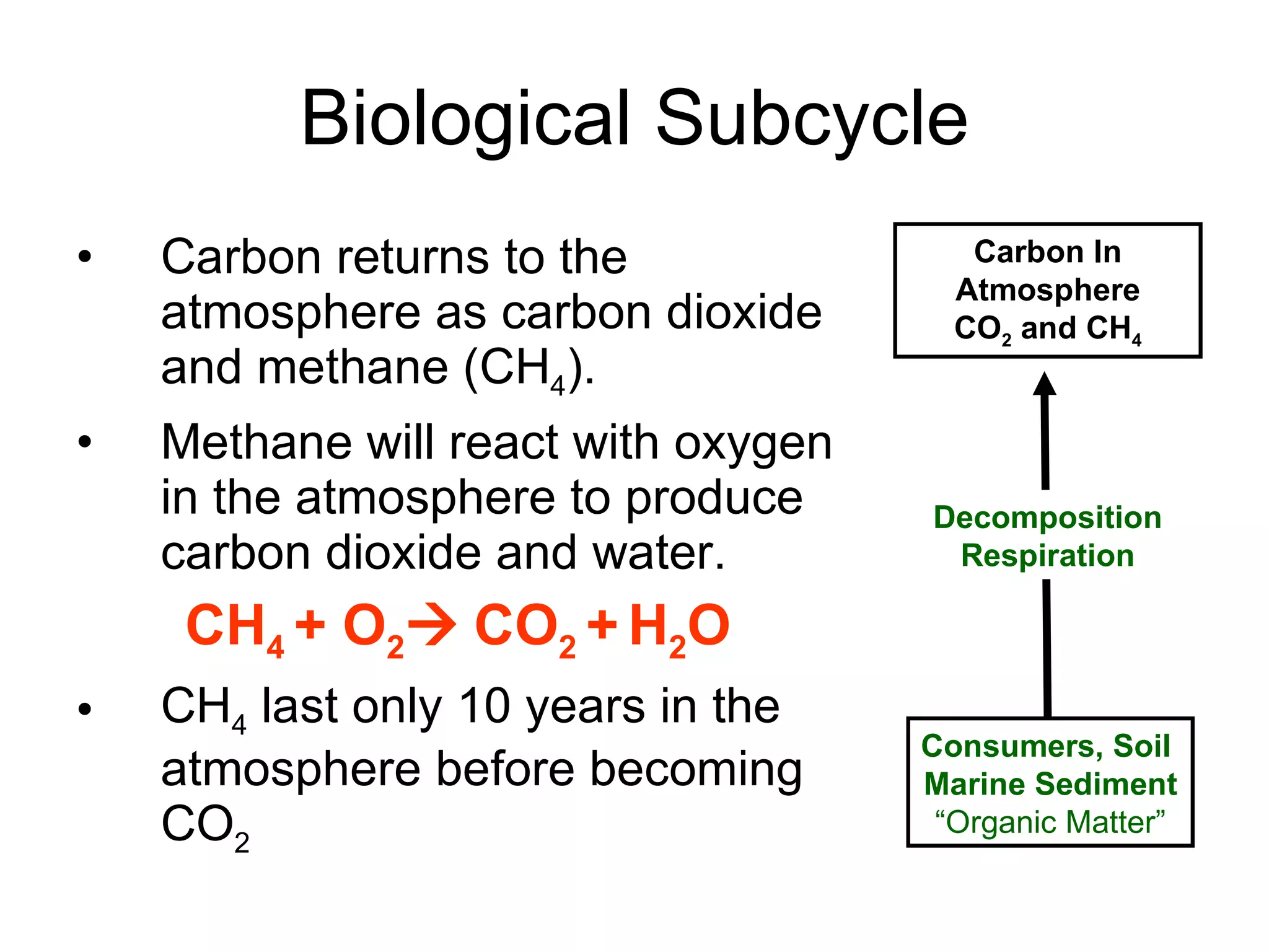 Biological Subcycle Carbon returns to the atmosphere as carbon dioxide and methane (CH 4 ). Methane will react with oxygen in the atmosphere to produce carbon dioxide and water. CH 4  + O 2    CO 2  +   H 2 O CH 4  last only 10 years in the atmosphere before becoming CO 2   Decomposition Respiration Carbon In Atmosphere CO 2  and CH 4 Consumers, Soil  Marine Sediment “ Organic Matter” 