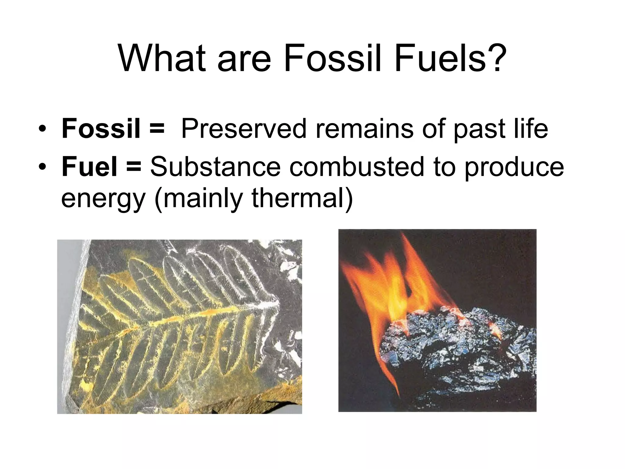 What are Fossil Fuels? Fossil =  Preserved remains of past life Fuel =  Substance combusted to produce energy (mainly thermal) 