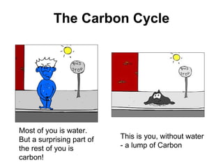 [object Object],Most of you is water.  But a surprising part of the rest of you is carbon! This is you, without water - a lump of Carbon 