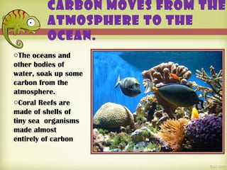 Carbon moves from the
         atmosphere to the
         ocean.
oThe oceans and
other bodies of
water, soak up some
carbon from the
atmosphere.
oCoral Reefs are
made of shells of
tiny sea organisms
made almost
entirely of carbon
 