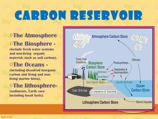 Carbon Reservoir
oThe Atmosphere
oThe Biosphere -
(include fresh water systems
and non-living organic
material, such as soil carbon).
oThe Oceans -
(including dissolved inorganic
carbon and living and non-
living marine biota).
oThe lithosphere-
(sediments, Earth core
including fossil fuels).
 