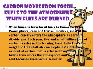 Carbon moves from fossil
fuels to the atmosphere
 when fuels are burned.
• When humans burn fossil fuels to Power factories,
  Power plants, cars and trucks, mostcks, most of the
  carbon quickly enters the atmosphere as carbon
  dioxide gas. Each year, five and a half billion tons of
  carbon is released by burning fossil fuels.That's the
  weight of 100 adult African elephants! Of the huge
  amount of carbon that is released from fuels,3.3
  billion tons enters the atmosphere and most of the
  rest becomes dissolved in seawater.
 