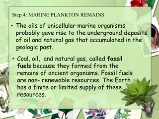 Step 4: MARINE PLANKTON REMAINS

• The oils of unicellular marine organisms
  probably gave rise to the underground deposits
  of oil and natural gas that accumulated in the
  geologic past.
• Coal, oil, and natural gas, called fossil
  fuels because they formed from the
  remains of ancient organisms. Fossil fuels
  are non- renewable resources. The Earth
  has a finite or limited supply of these
  resources.
 