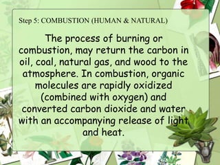 Step 5: COMBUSTION (HUMAN & NATURAL)

       The process of burning or
combustion, may return the carbon in
oil, coal, natural gas, and wood to the
 atmosphere. In combustion, organic
     molecules are rapidly oxidized
      (combined with oxygen) and
 converted carbon dioxide and water
with an accompanying release of light
                and heat.
 