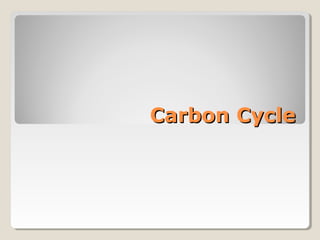 Carbon CycleCarbon Cycle
 