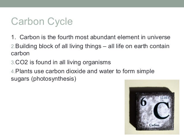 What things contain carbon?
