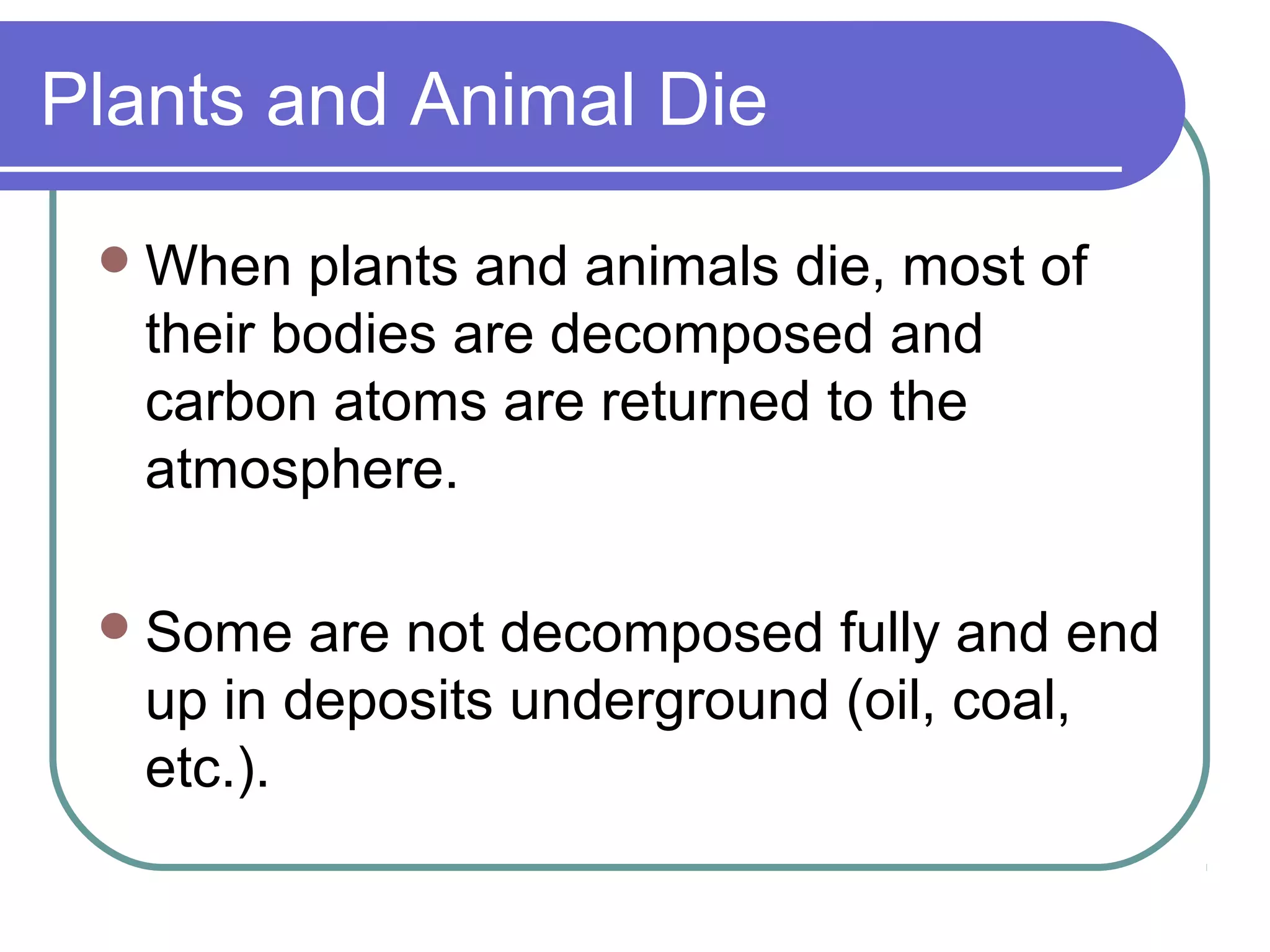 Plants and Animal Die
When plants and animals die, most of
their bodies are decomposed and
carbon atoms are returned to the
atmosphere.
Some are not decomposed fully and end
up in deposits underground (oil, coal,
etc.).
 