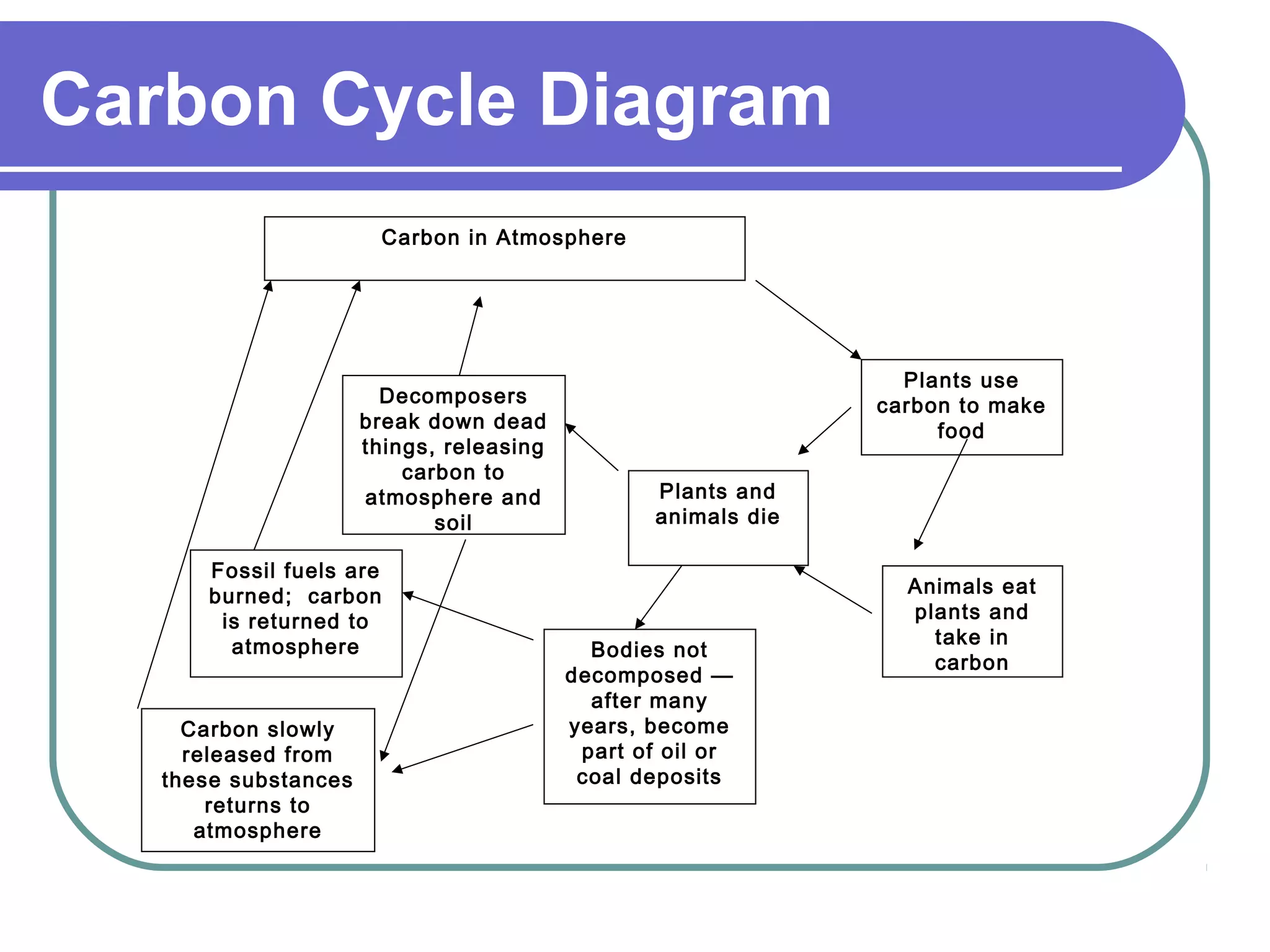 Carbon Cycle Diagram
Carbon in Atmosphere
Plants use
carbon to make
food
Animals eat
plants and
take in
carbon
Plants and
animals die
Decomposers
break down dead
things, releasing
carbon to
atmosphere and
soil
Bodies not
decomposed —
after many
years, become
part of oil or
coal deposits
Fossil fuels are
burned; carbon
is returned to
atmosphere
Carbon slowly
released from
these substances
returns to
atmosphere
 