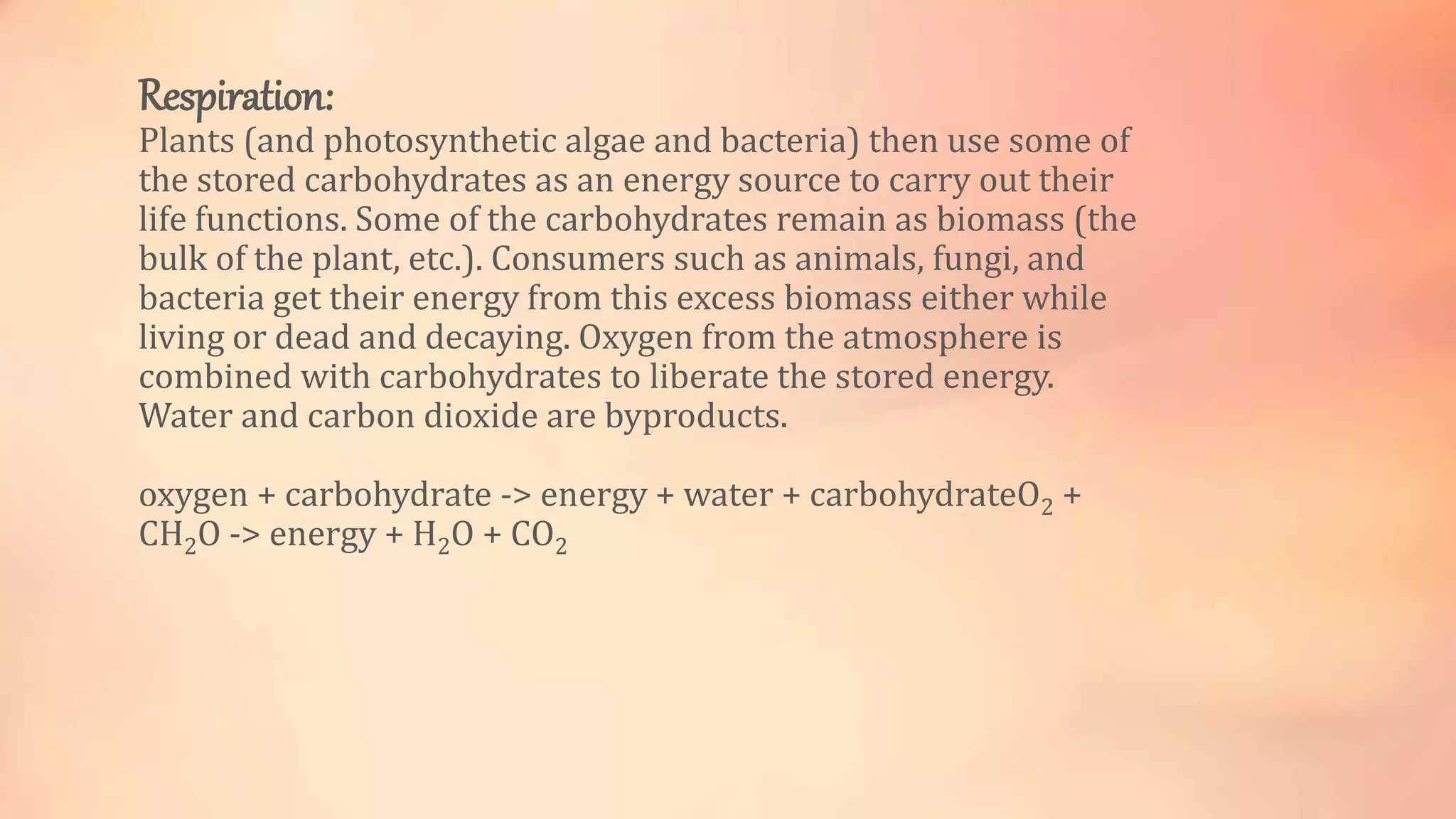 Respiration: 
Plants (and photosynthetic algae and bacteria) then use some of 
the stored carbohydrates as an energy source to carry out their 
life functions. Some of the carbohydrates remain as biomass (the 
bulk of the plant, etc.). Consumers such as animals, fungi, and 
bacteria get their energy from this excess biomass either while 
living or dead and decaying. Oxygen from the atmosphere is 
combined with carbohydrates to liberate the stored energy. 
Water and carbon dioxide are byproducts. 
oxygen + carbohydrate -> energy + water + carbohydrateO2 + 
CH2O -> energy + H2O + CO2 
 
