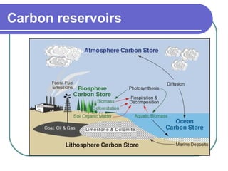 Carbon reservoirs
 