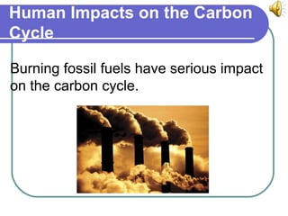 Human Impacts on the Carbon
Cycle
Burning fossil fuels have serious impact
on the carbon cycle.
 